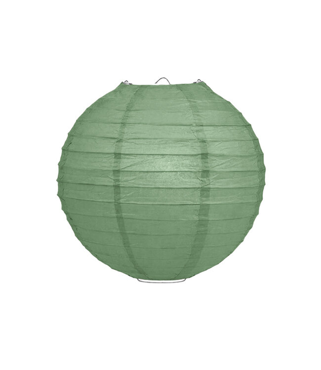 Lampion Saliegroen 40cm