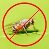 Horizont Beaumont Insektenfalle/Fliegenvernichter TRADITION | 40 W | 140 qm