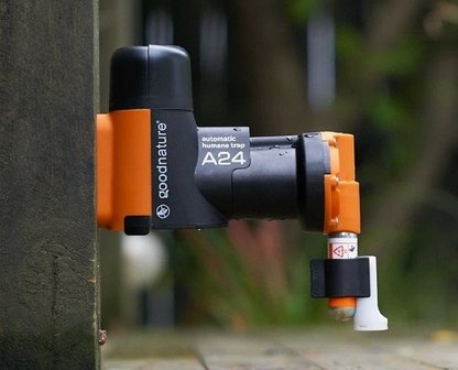 Mausefallen & Rattenfallen