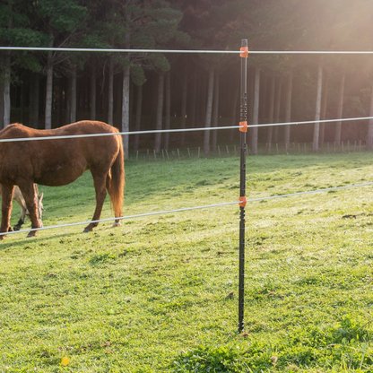 Welcher Weidezaun ist der richtige für mich?