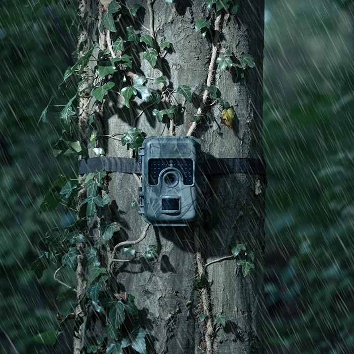 Wildkamera bei Nacht und Regen