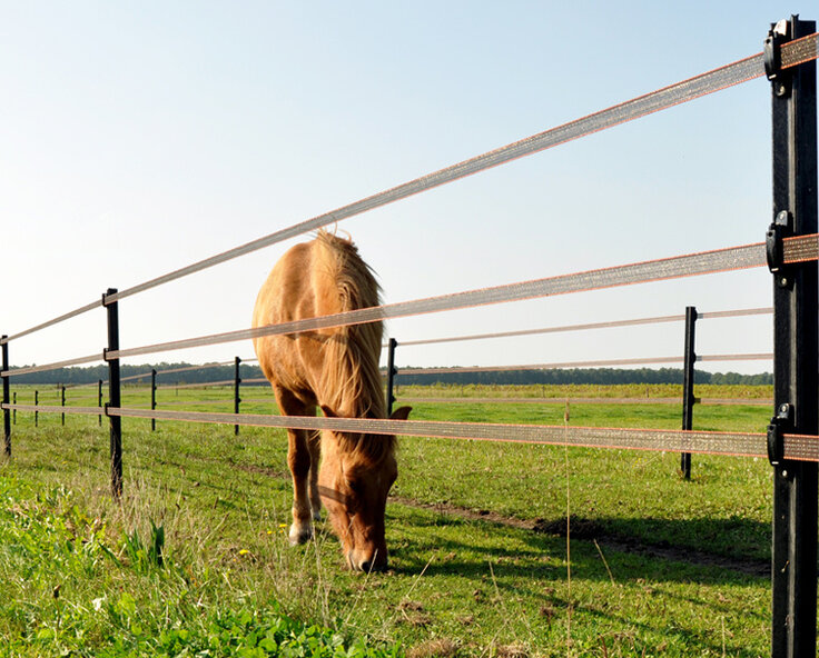 Welcher Weidezaun ist am besten für Pferde geeignet?