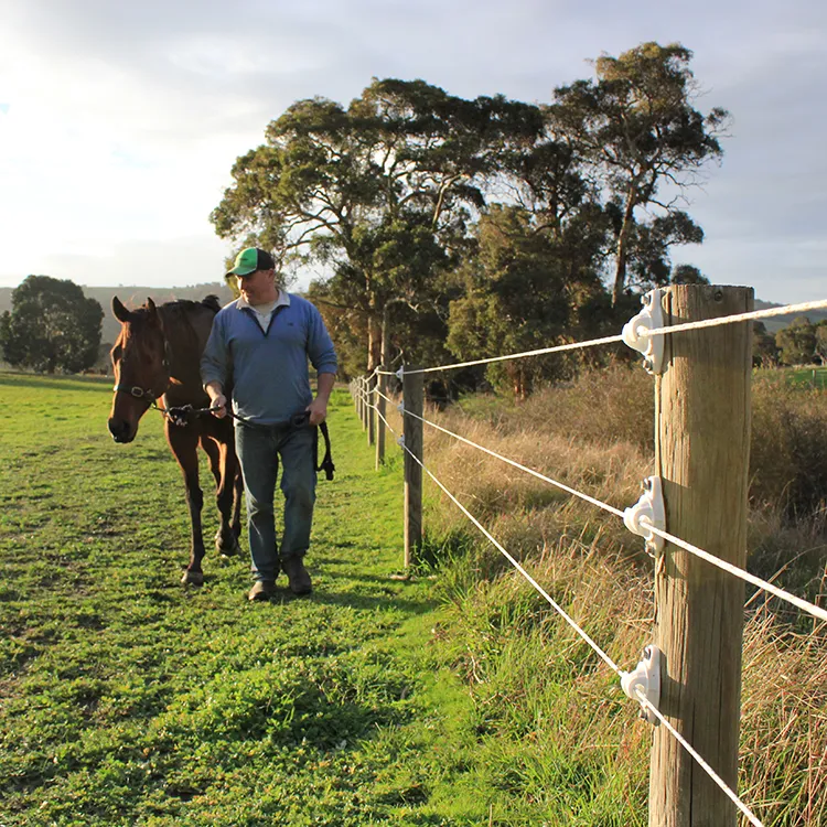 Elektrischer Pferdezaun