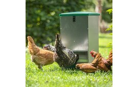 Feedomatic Geflügelfutterautomat mit Trittplatte für 12 kg Futter Feedomatic Geflügelfutterautomat mit Trittplatte für 12 kg Futter
