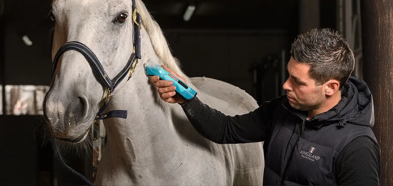 Schermesser richtig pflegen und verwenden