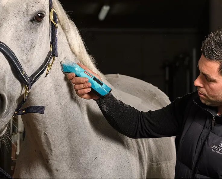 Schermesser richtig pflegen und verwenden
