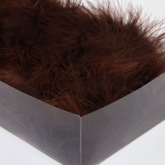 Veren Bruin