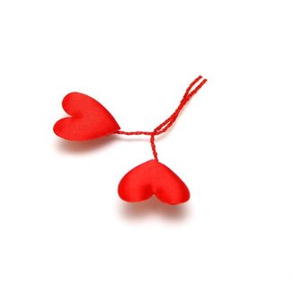 Satijnen Hartje Draad Rood