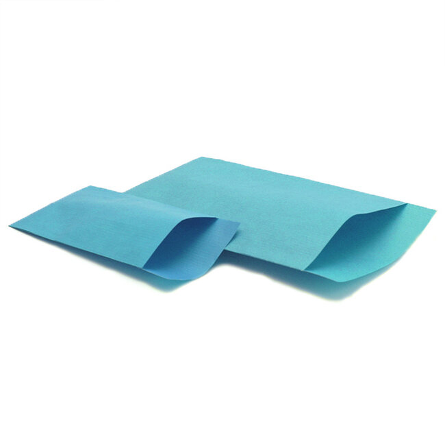 Cadeauzakjes Kraft Lichtblauw