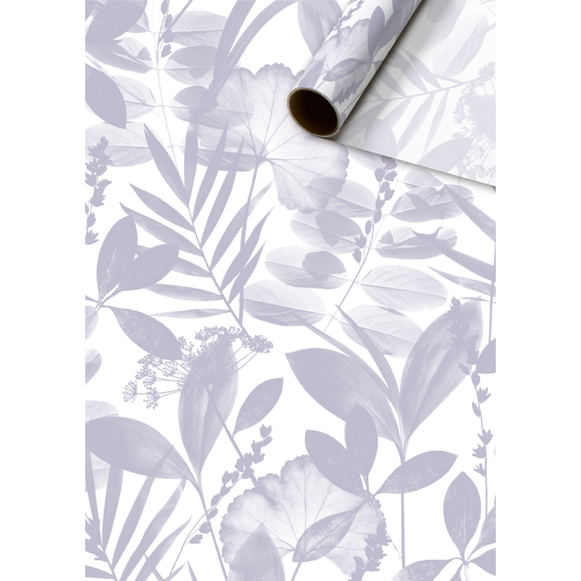 Vloeipapier Rollen Sona Lila