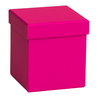 Voorjaar Cadeaudozen Uni Roze