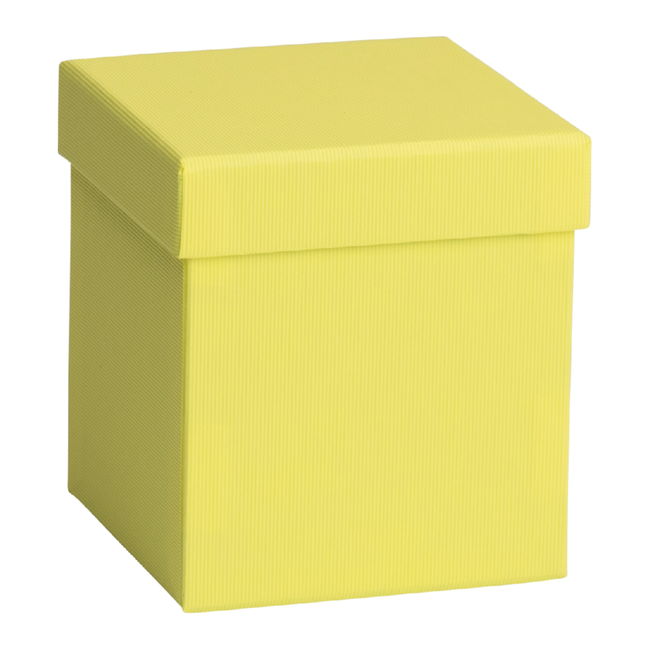 Cadeaudozen Uni Geel