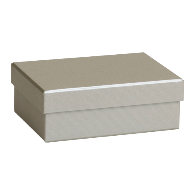 Cadeaudozen Uni Zilver