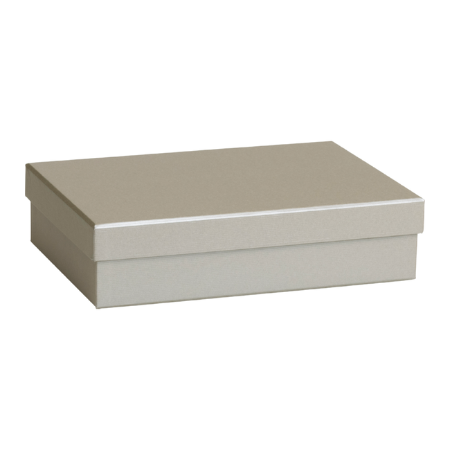 Cadeaudozen Uni Zilver