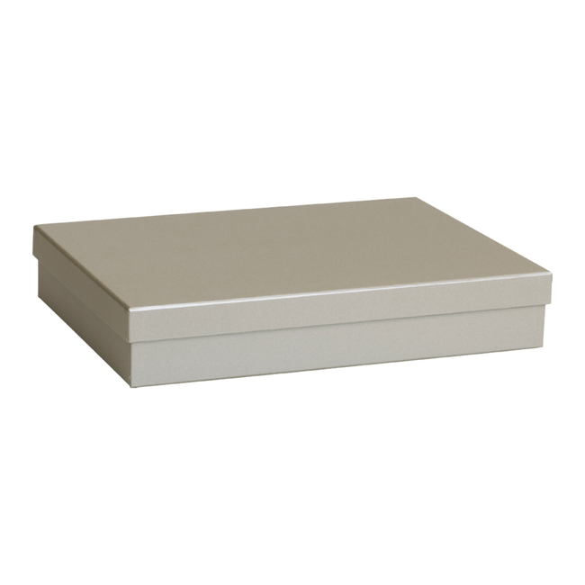 Cadeaudozen Uni Zilver