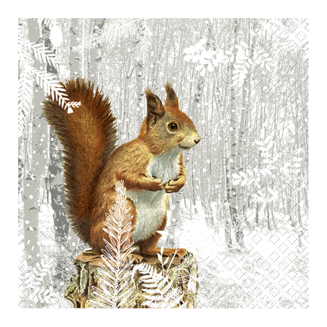 Servetten Justus Bruin