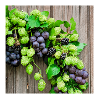 Servetten Benedikt Groen