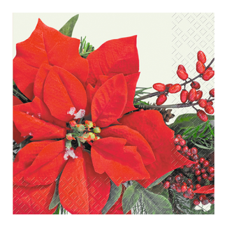 Servetten Amilia Rood Servetten Amilia Rood