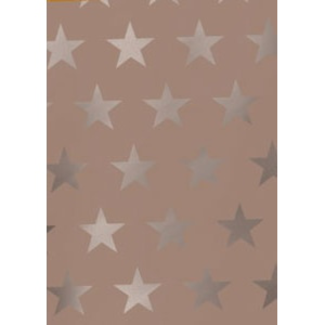 Cadeaupapier Etoile Rose Goud