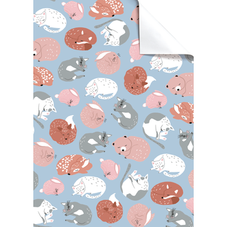 Cadeaupapier Vellen Okko Lichtblauw