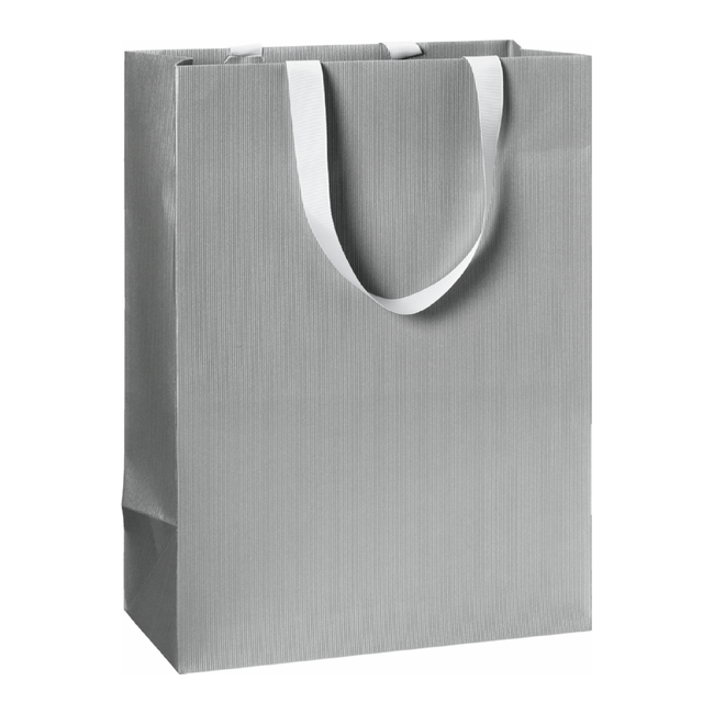 Papieren Draagtassen Uni Zilver