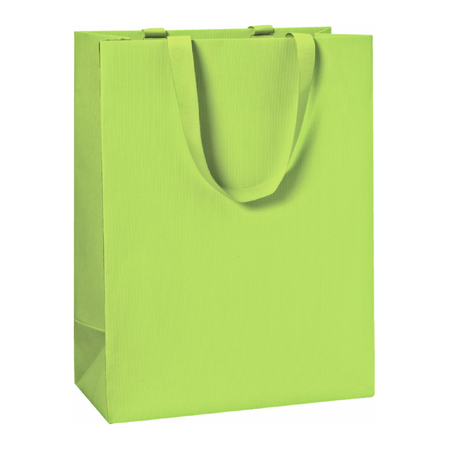 Papieren Draagtassen Uni Lichtgroen