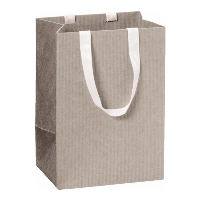 Papieren Draagtassen Uni Lichtgrijs