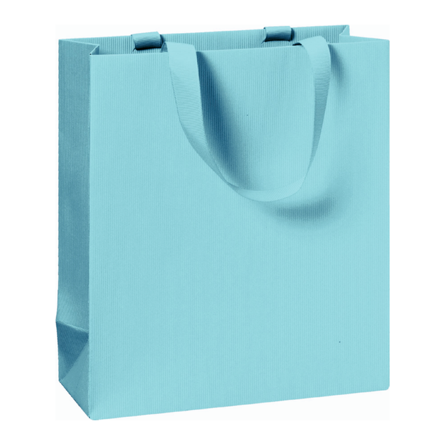 Papieren Draagtassen Uni Lichtblauw
