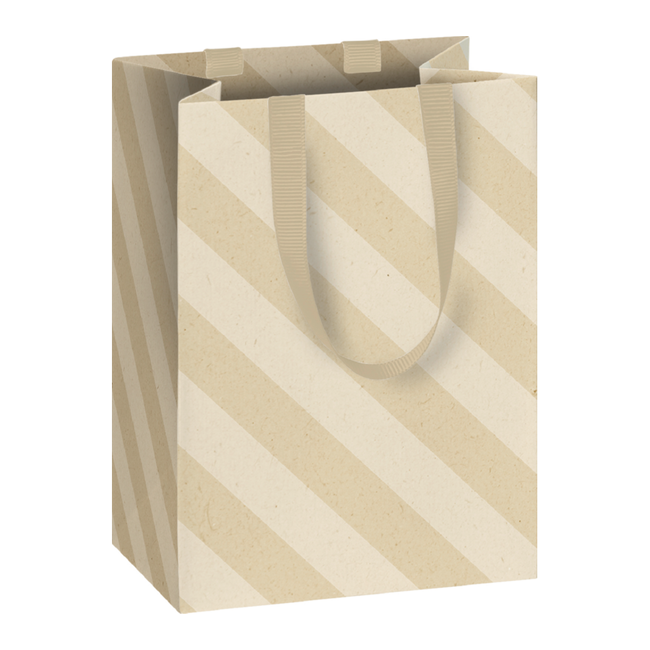 Papieren Draagtassen Display Anouk Goud