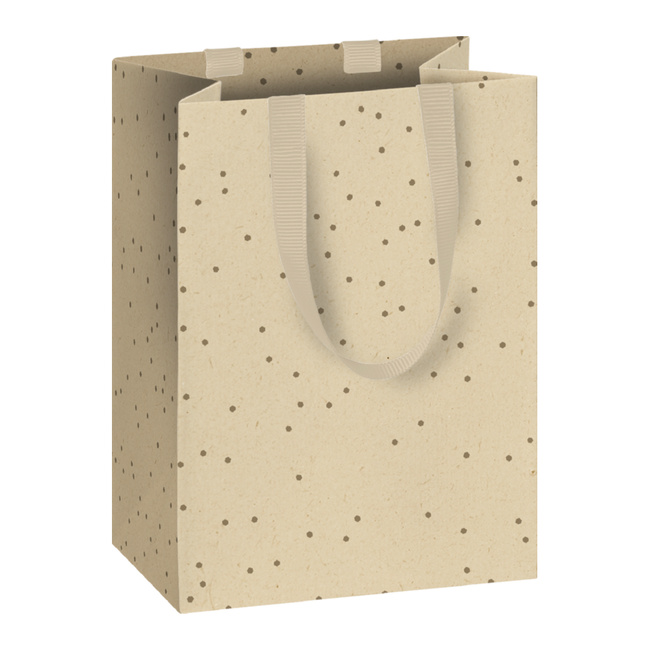 Papieren Draagtassen Display Anouk Goud