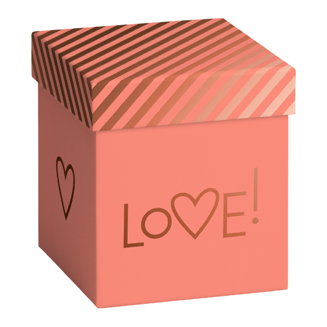 Cadeaudozen Amita Roze