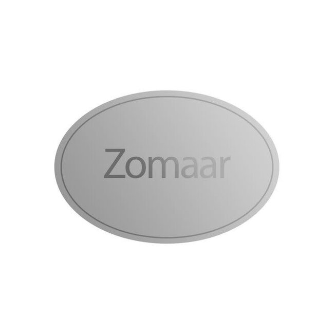 Cadeaustickers Zomaar Ovaal Zilver