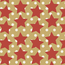 Cadeaupapier Star In The Sky Rood Wit