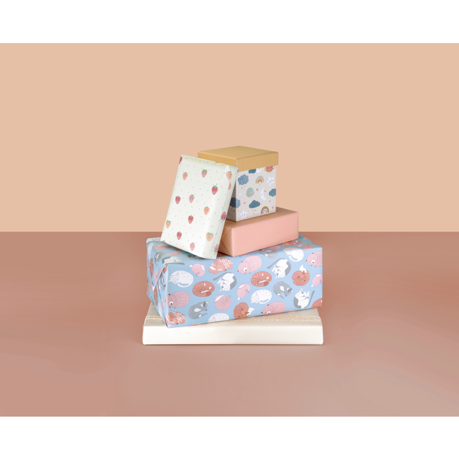 Consumentenrollen Cadeaupapier Hello World