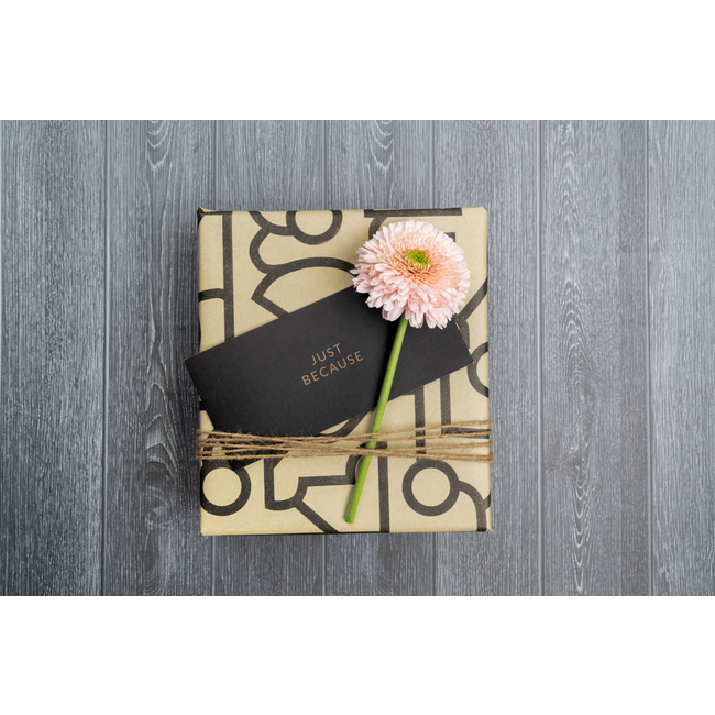 Consumentenrollen Cadeaupapier Taio Beige