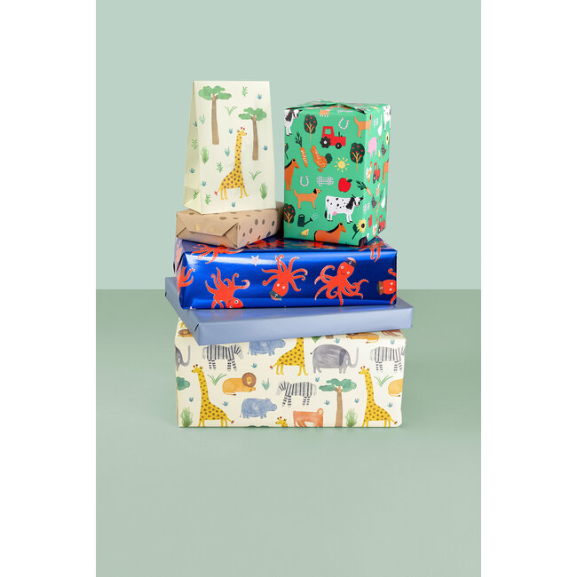 Cadeaupapier Vellen Timba Lichtbeige