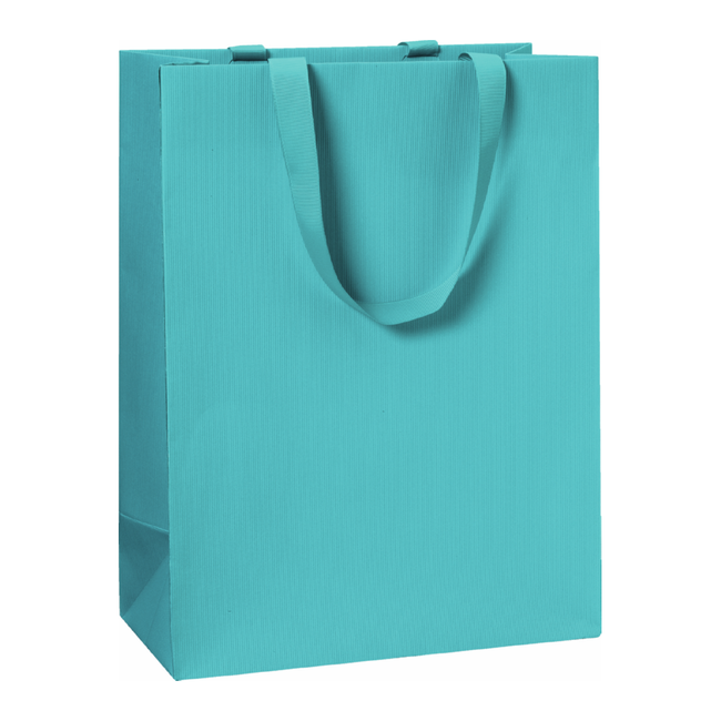 Papieren Draagtassen Uni Turquoise