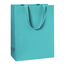 Papieren Draagtassen Uni Turquoise