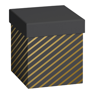 Cadeaudozen Stryge Zwart