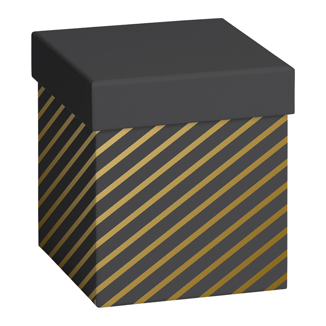 Cadeaudozen Stryge Zwart