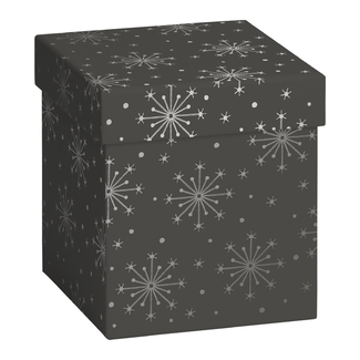 Cadeaudozen Nieve Donkergrijs