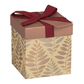 Cadeaudozen Solea Koper
