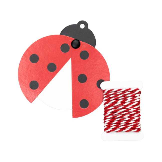 Cadeaukaartjes Set Adela Rood