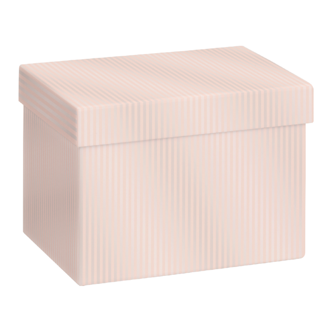 Cadeaudozen Paro Lichtroze