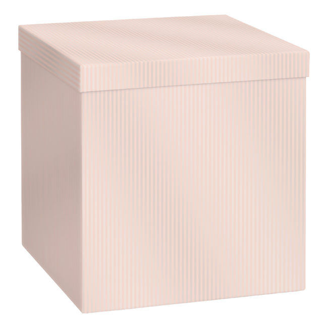 Cadeaudozen Paro Lichtroze