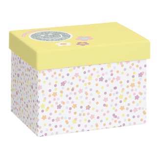 Cadeaudozen Nea Lichtblauw