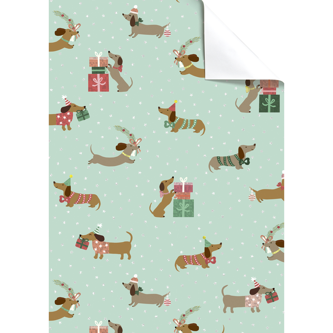 Cadeaupapier Vellen Bo Mint