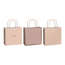 Papieren Draagtassen Min Lichtroze