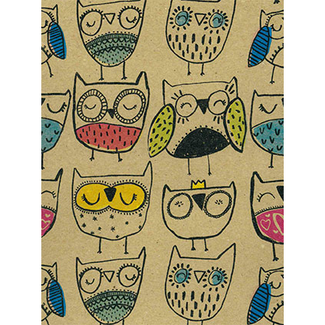 Cadeaupapier Happy Owl Multicolor