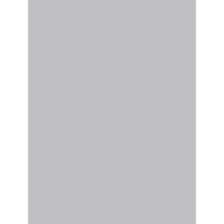 Cadeaupapier Unicolor Silver